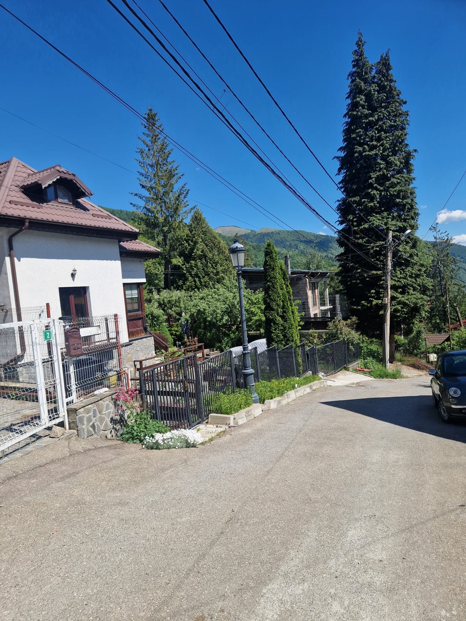 Strada Cerbului, brazi și versant montan